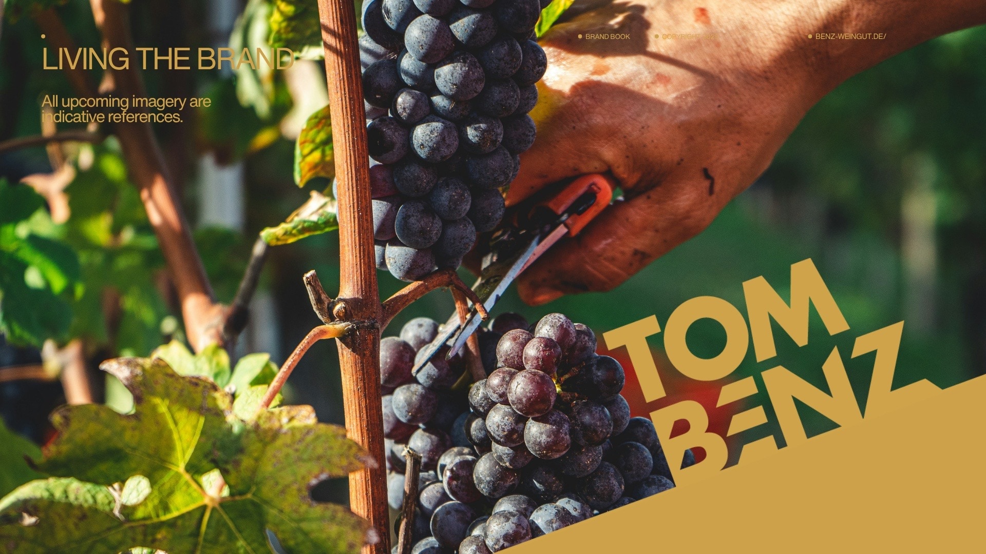 Tom Benz Wines — 44