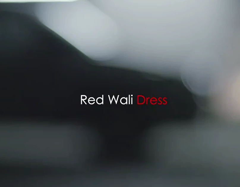 Red Wali Dress — still